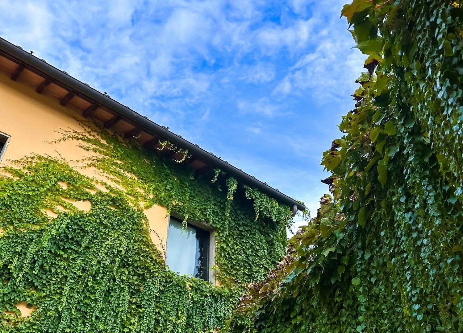 Tenuta Massabo San Casciano in Val di Pesa 0*,  Italia